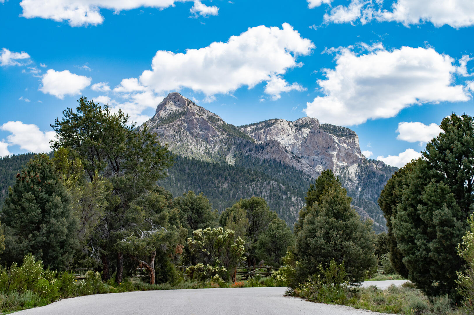 Sping Mountain, Mt. Charleston